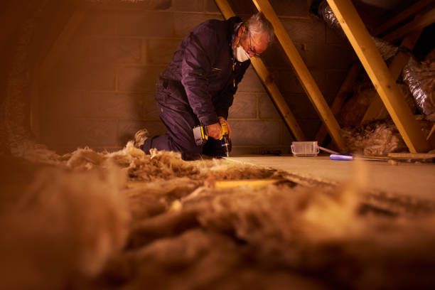 Best Insulation Maintenance and Repair in Rosepine, LA